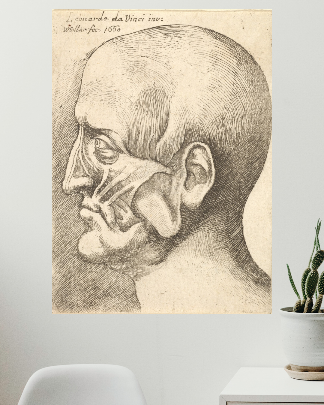 Ecorche Cabeza de un Hombre, Leonardo da Vinci
