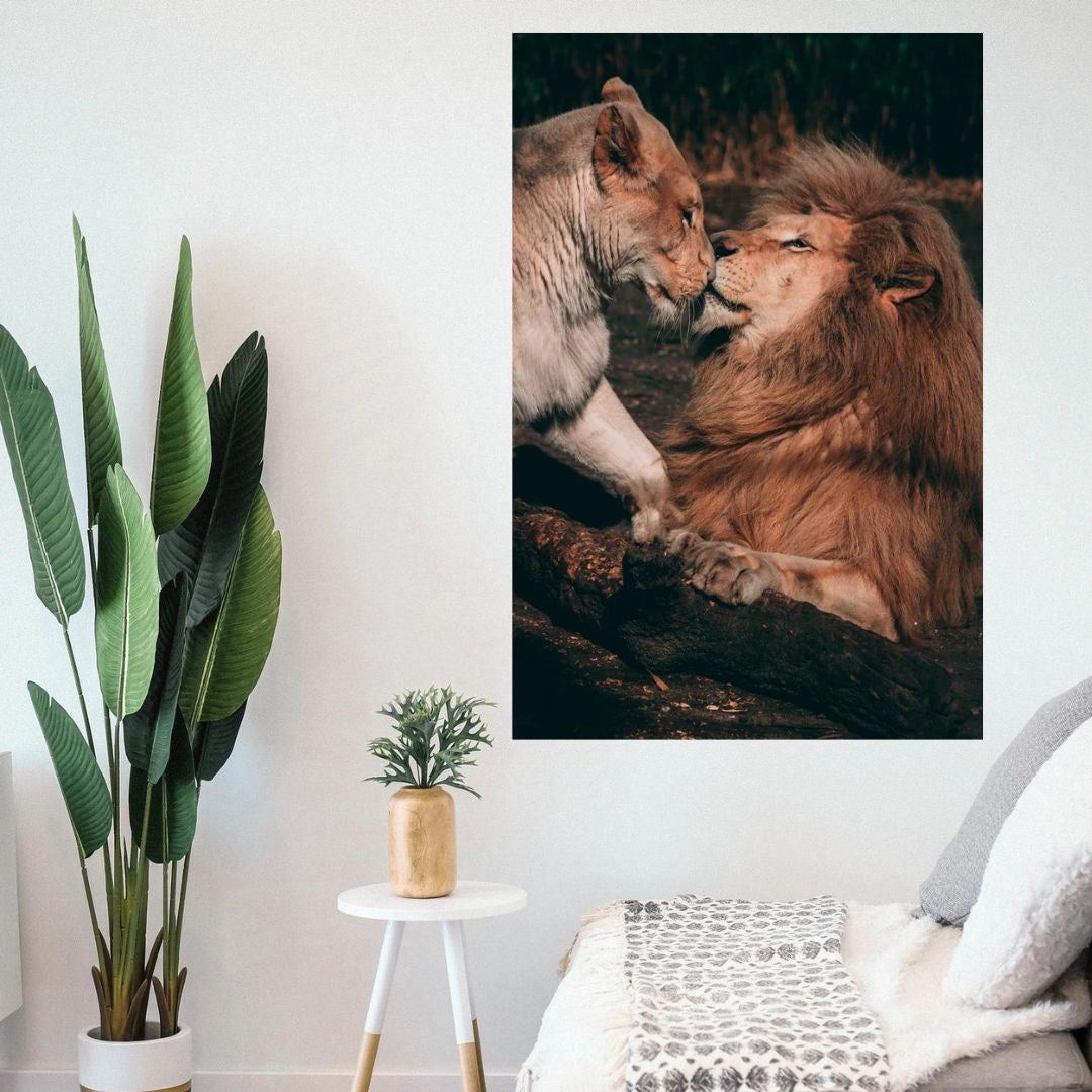 Amor en la Selva