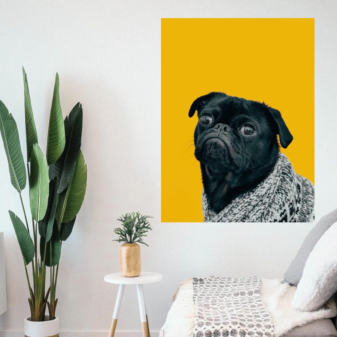 El Pug Modelo