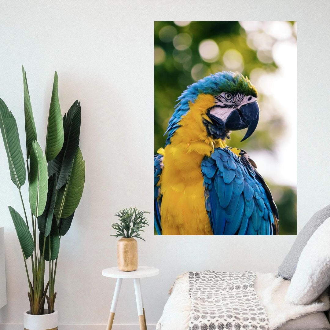 Perfil del Loro