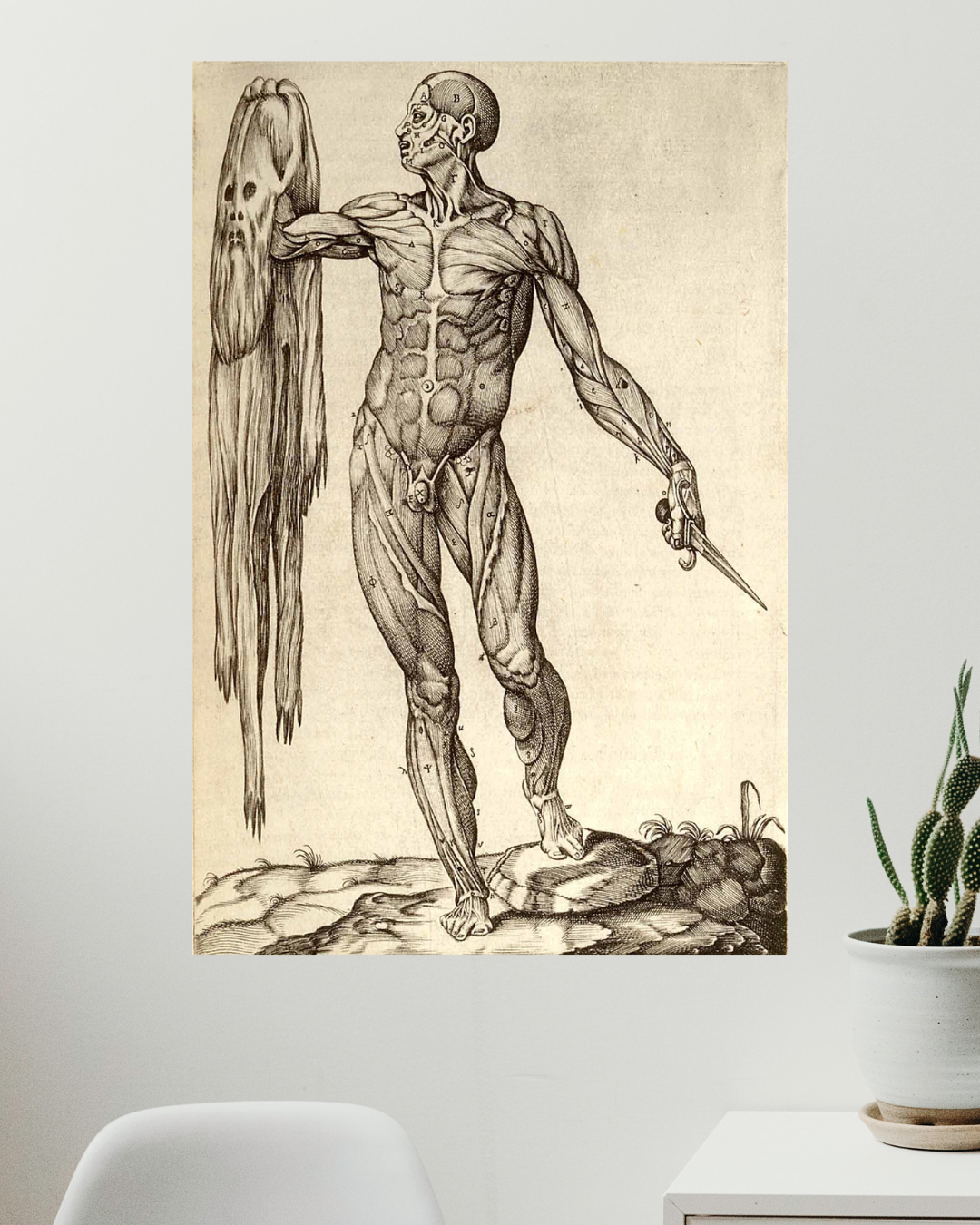 Anatomía del Cuerpo Humano, Juan Valverde de Amusco