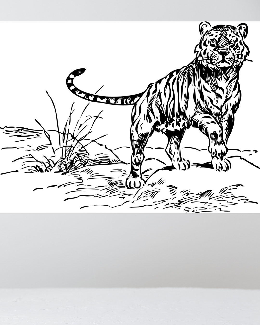 Ilustración de Tigre