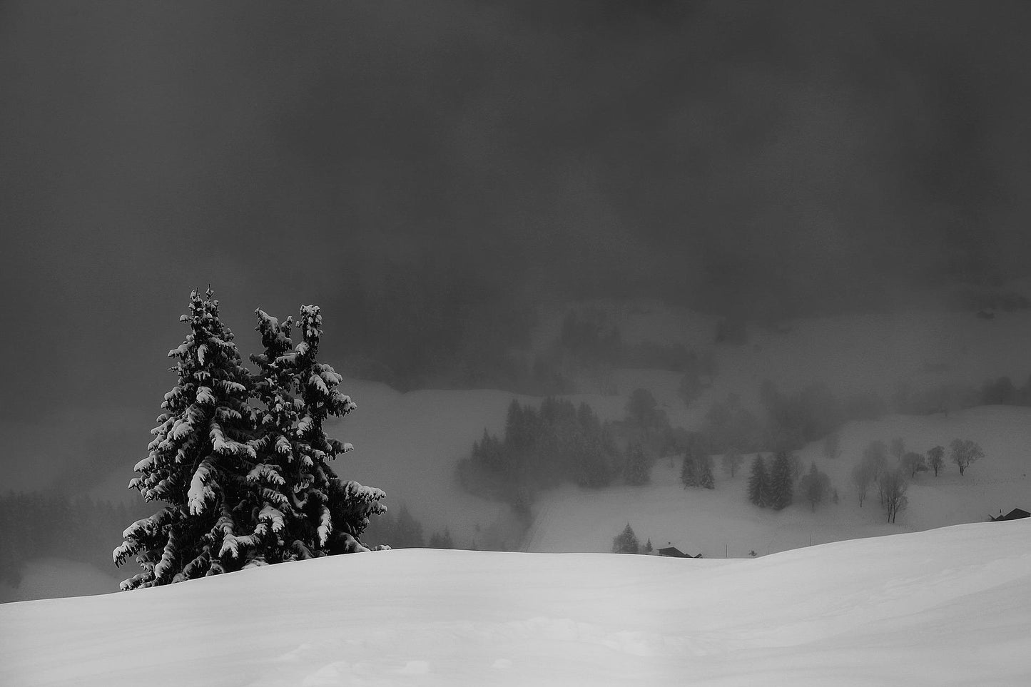 Alpes Suizos