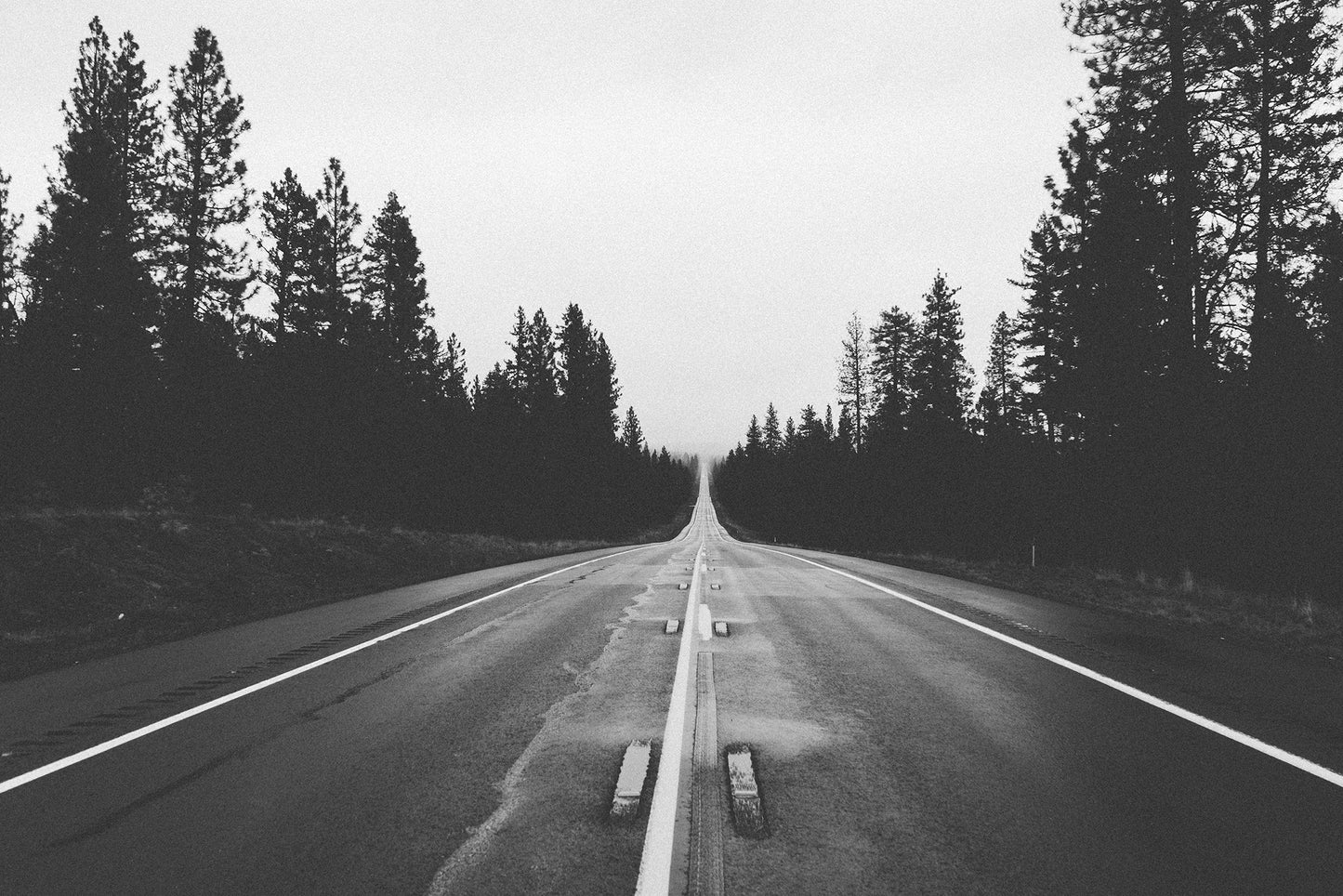 Carretera en el Bosque