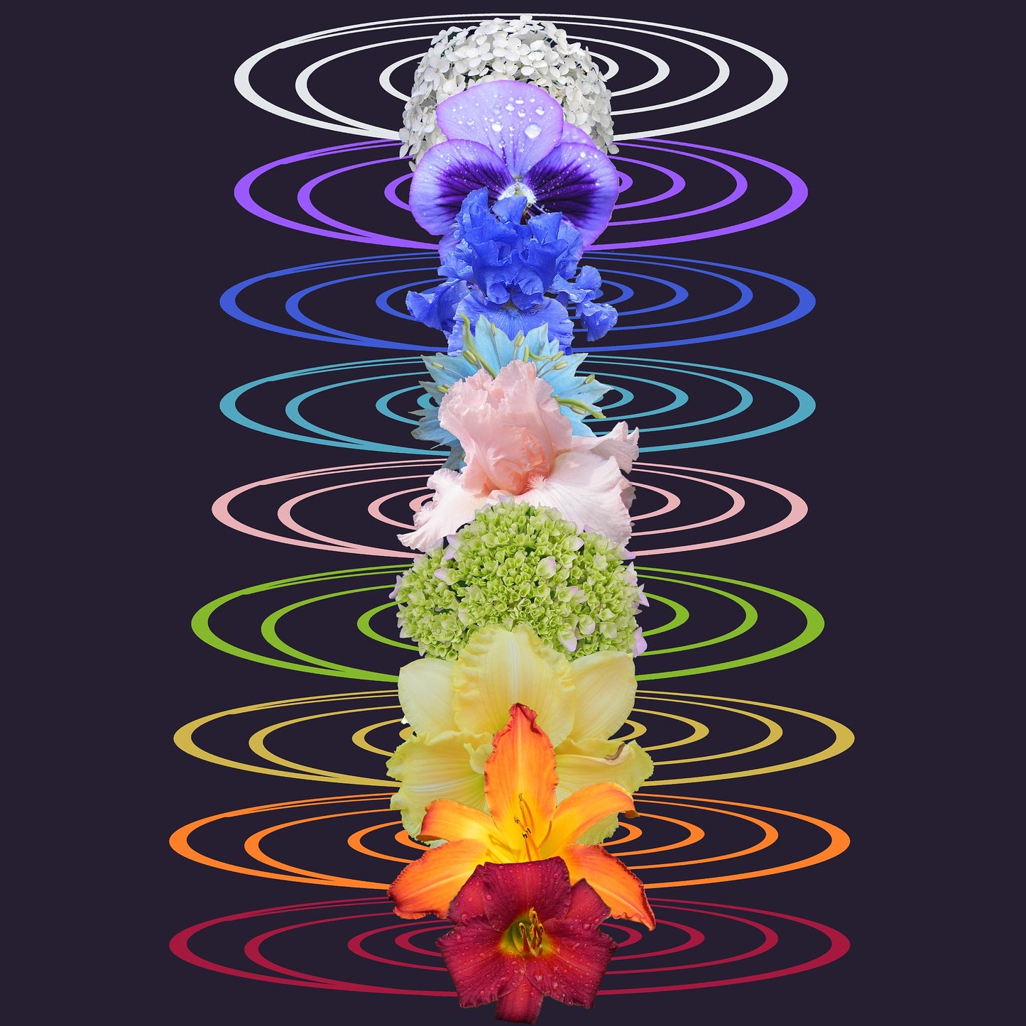 Chakra Arcoíris