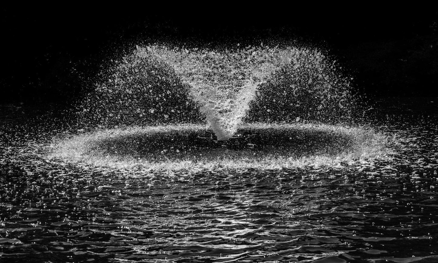 Fuente