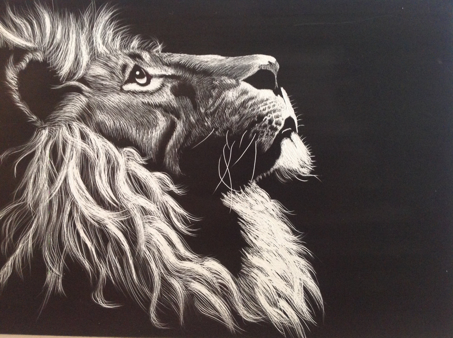 Ilustración de León