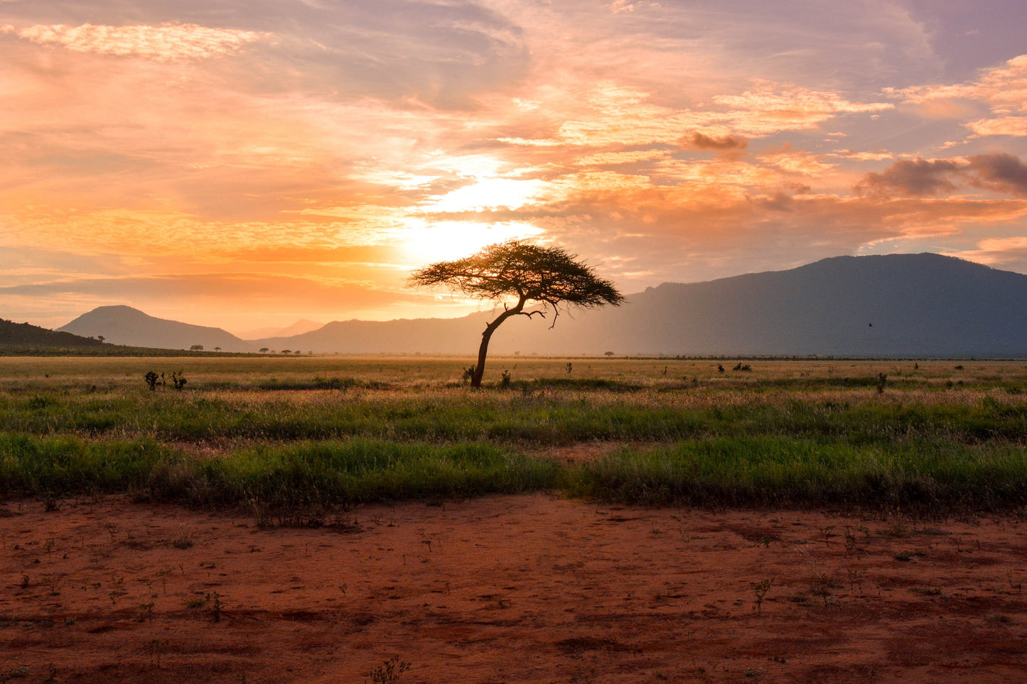Kenia, África