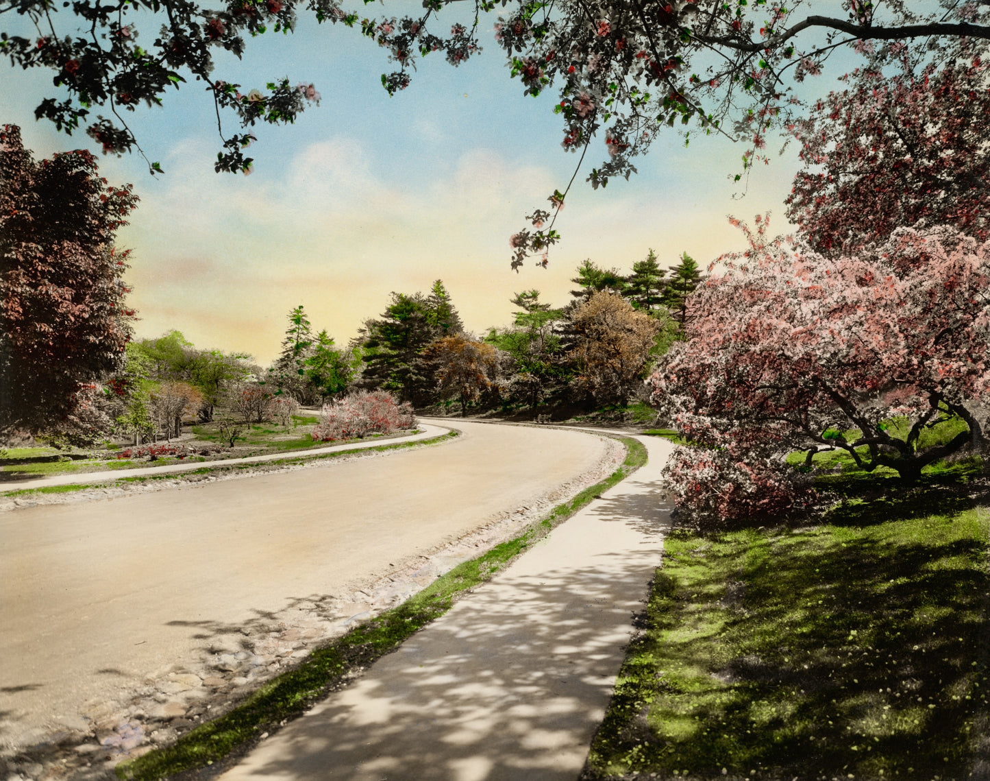 Camino Floral