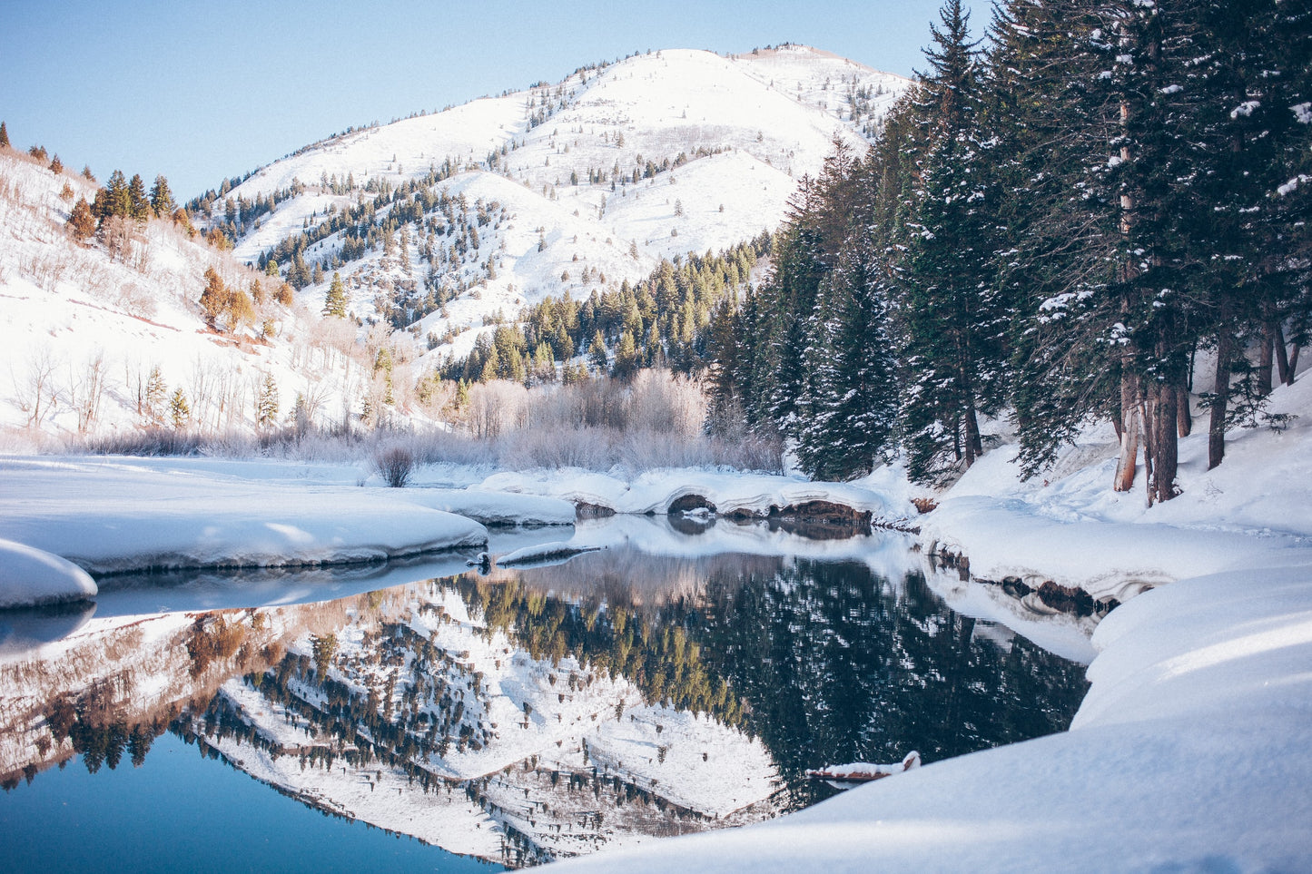 Reserva Tibble Fork