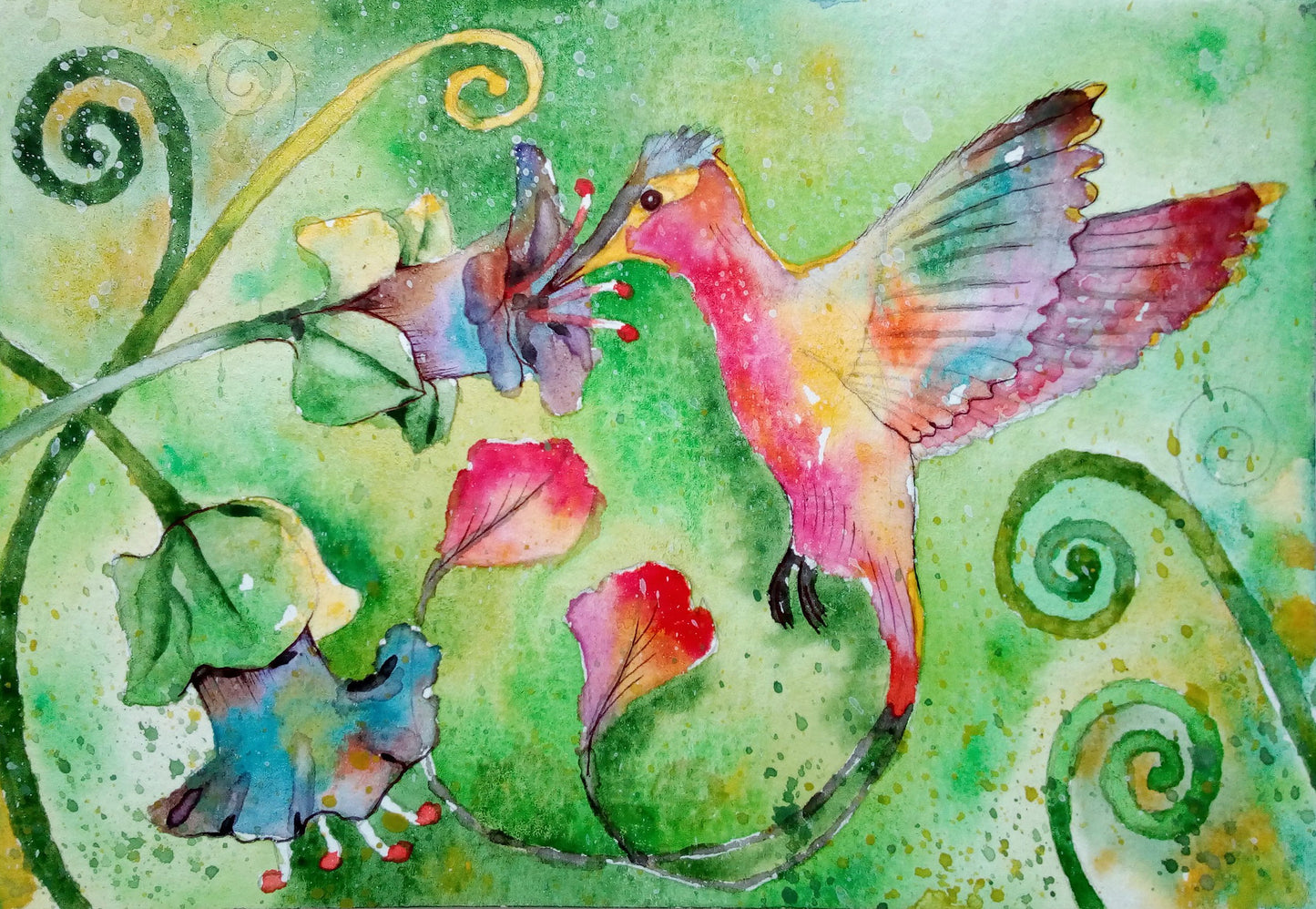 Dibujo de un Colibrí