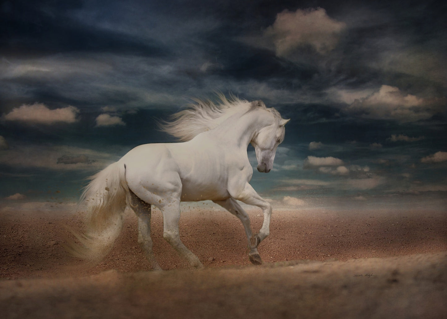 Caballo en Carrera