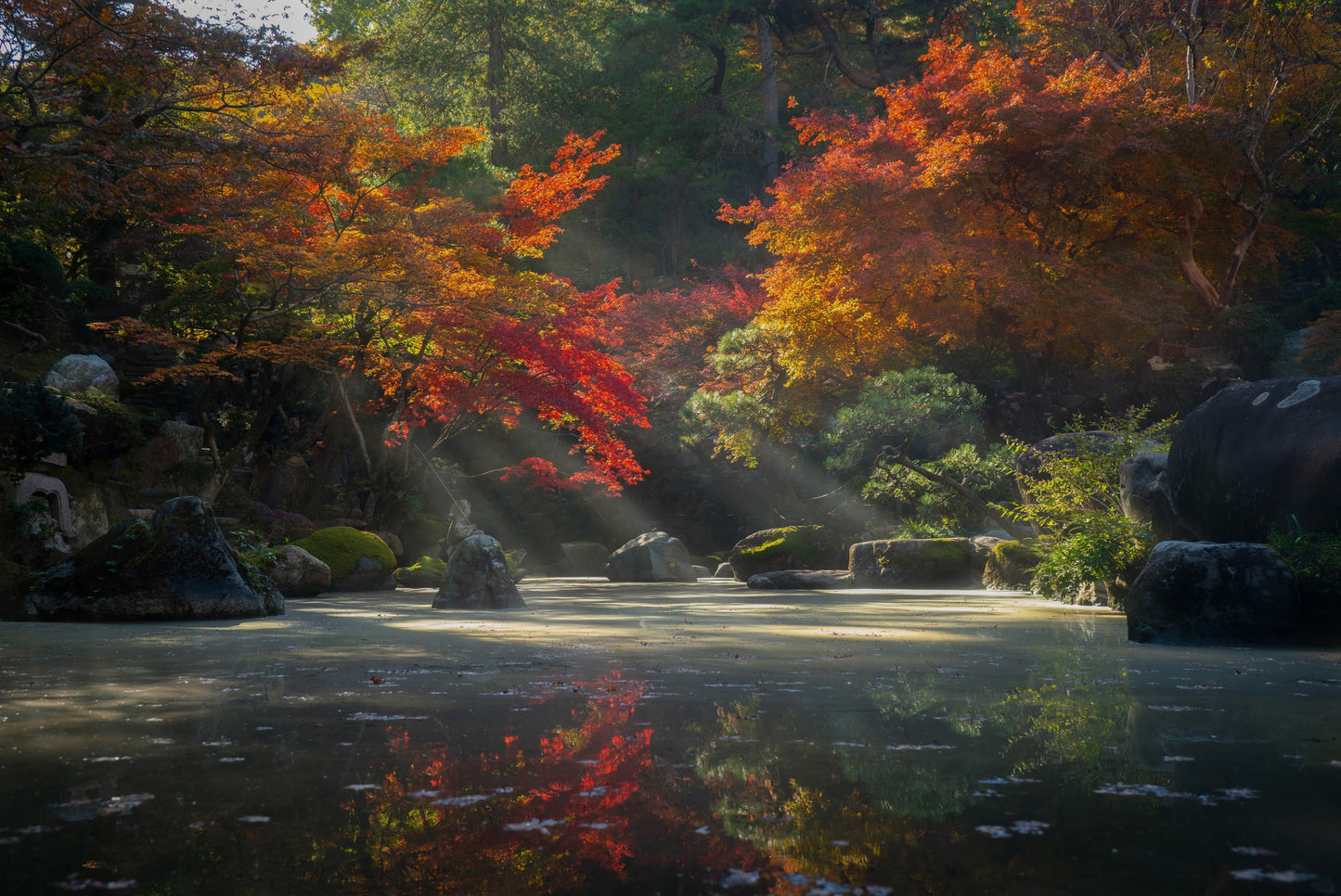 Tokumeien