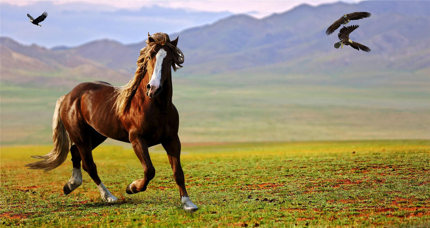 El Caballo y las Águilas