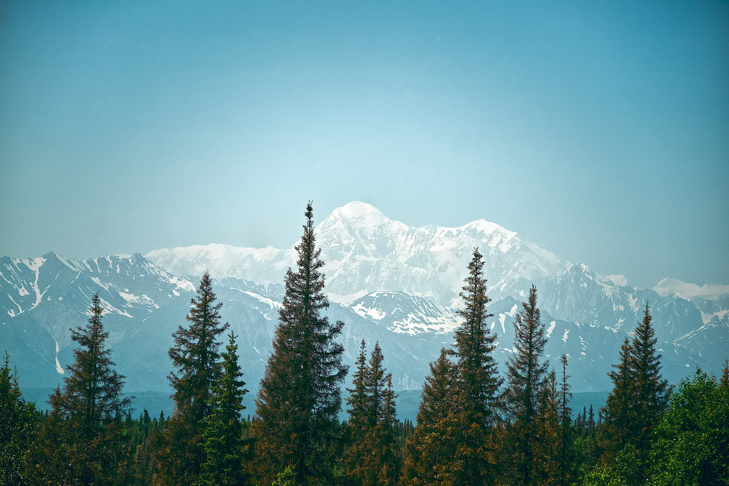 Parque Nacional Denali
