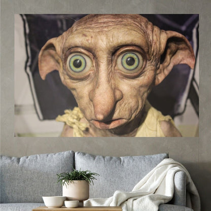 ¿Qué pasó Dobby?