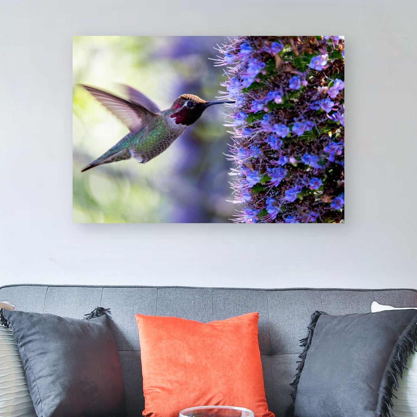 Colibri y morado