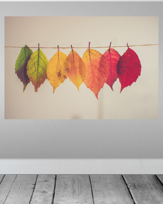 Fases de Otoño