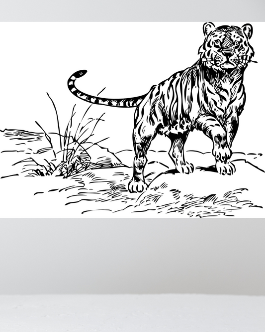 Ilustración de Tigre