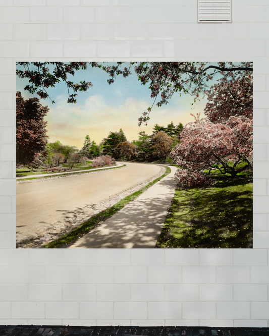 Camino Floral