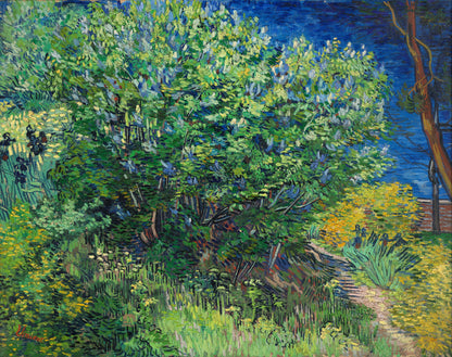 Arbusto de Lilas - Vincent van Gogh