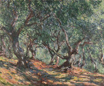 Estudio de Olivos en Bordighera - Claude Monet