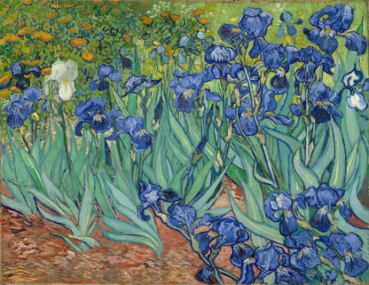 Irises - Vincent van Gogh