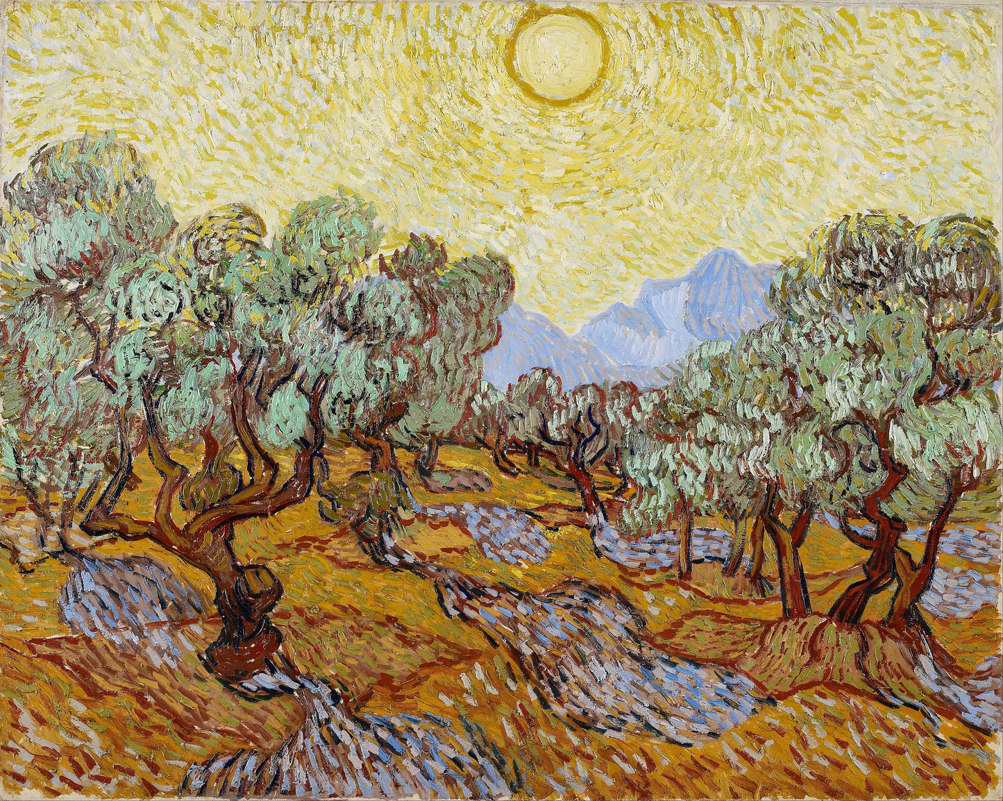 Olivos - Vincent van Gogh