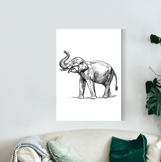 Dibujo elefante