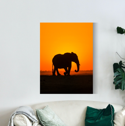 Elefante con naranja