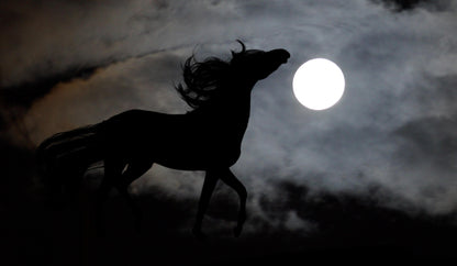 Semental a la Luz de la Luna