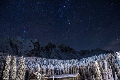 Cielo de Estrellas