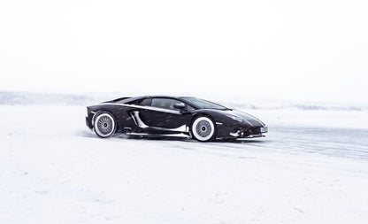 Lambo en la Nieve