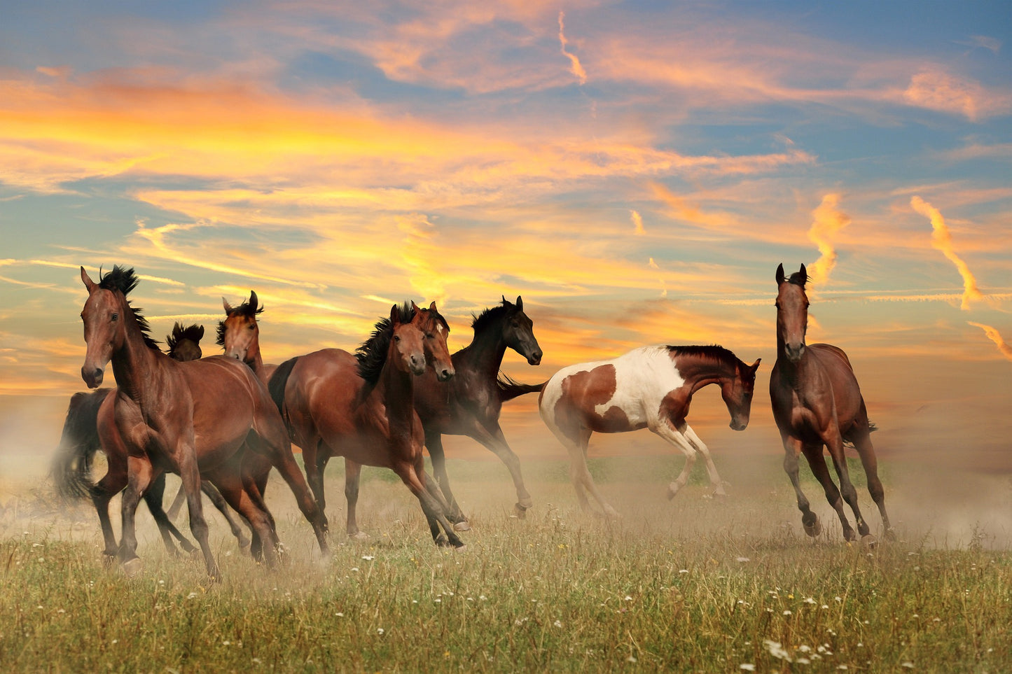 Paisaje de Caballos